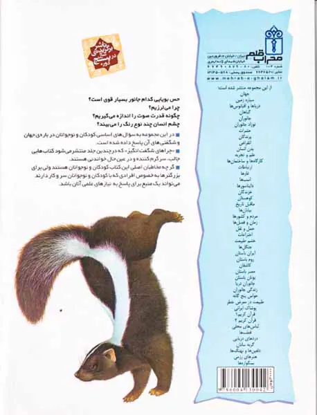 چراهای شگفت انگیز حواس پنج گانه